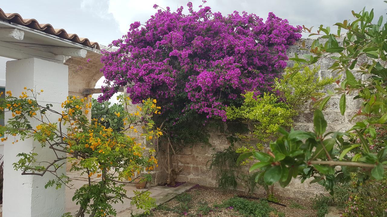Masseria Palombara Grande Ostuni Kültér fotó